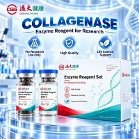 CGE Collagenase C-DEN-02 Pou Disosyasyon Tisi Dans