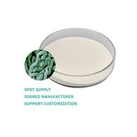 Manje klas laktobacillus plantarum